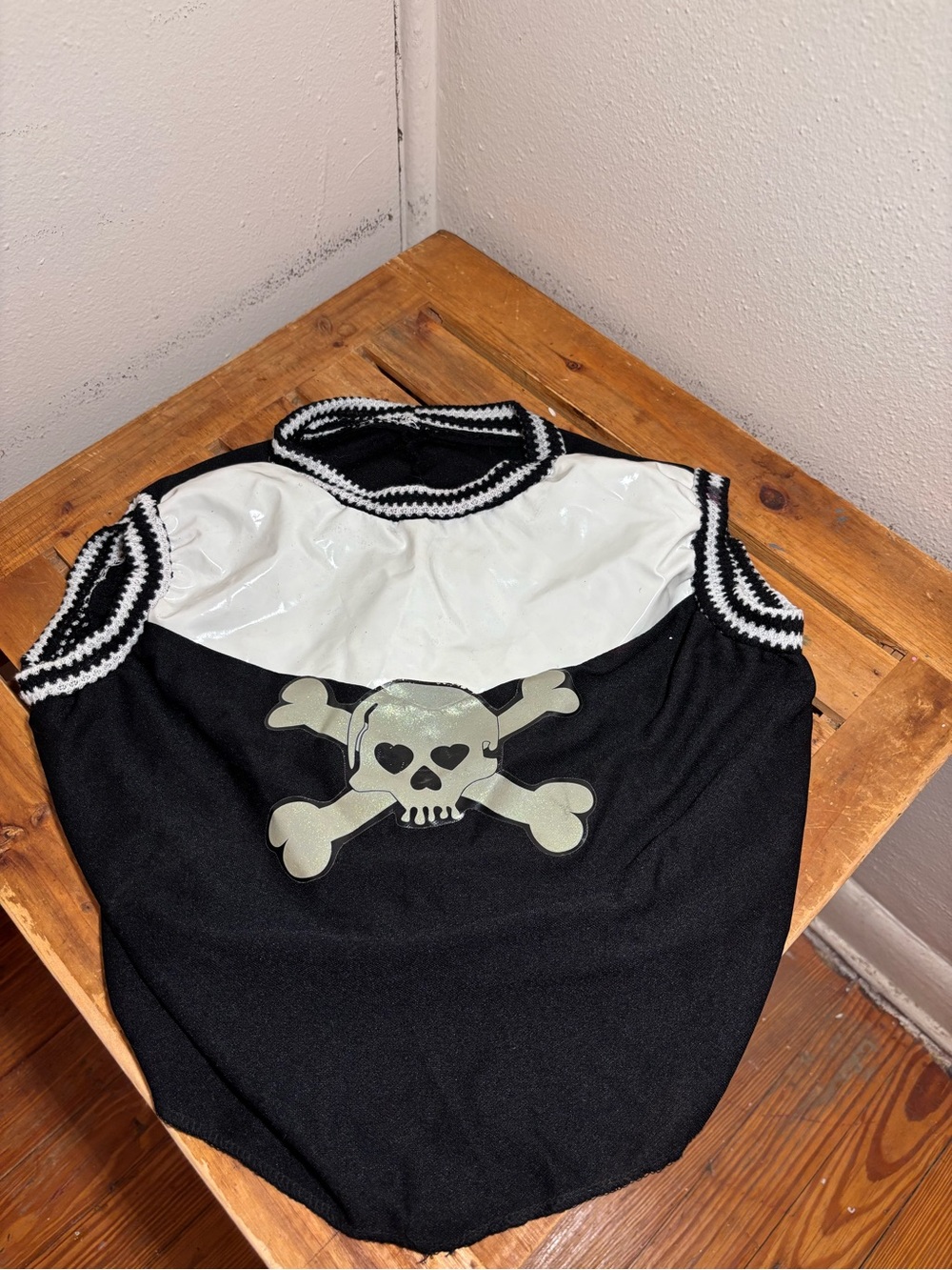 Halloween Skeleton Dog Costume